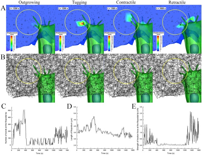 Fig 6