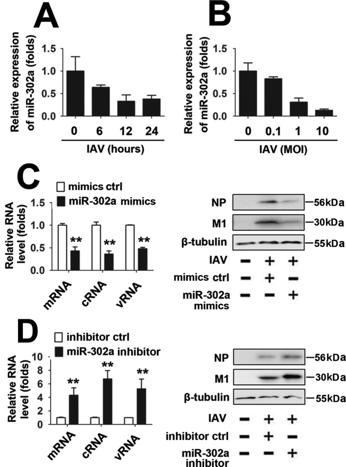 Figure 6.