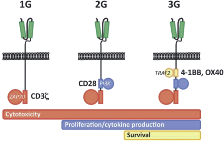 Figure 5