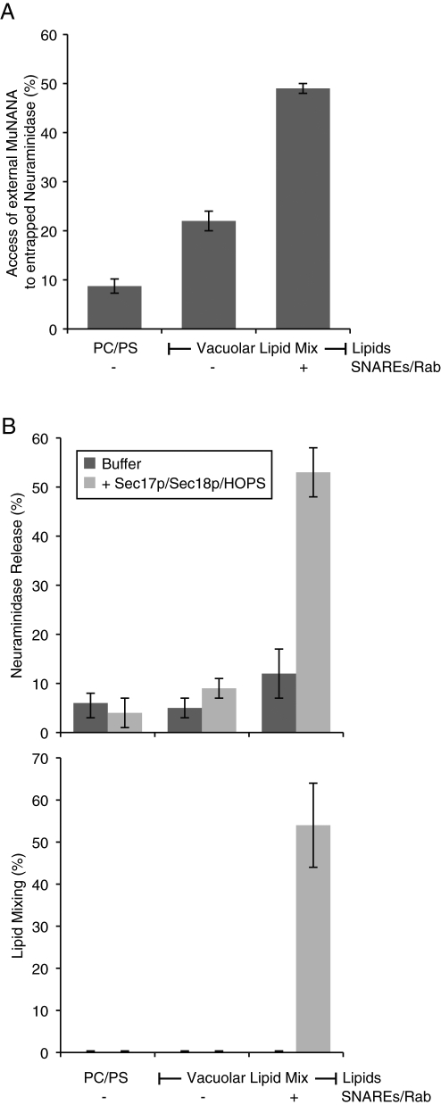 FIGURE 3: