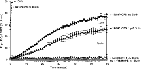 FIGURE 6: