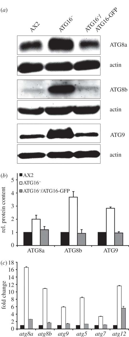 Figure 3.