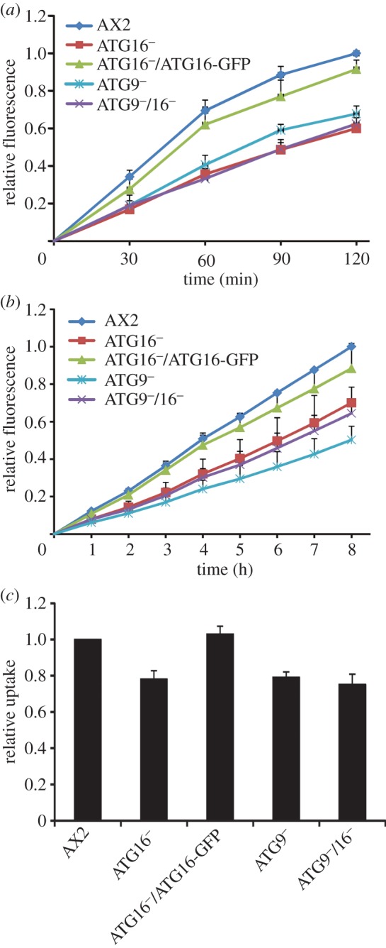 Figure 5.