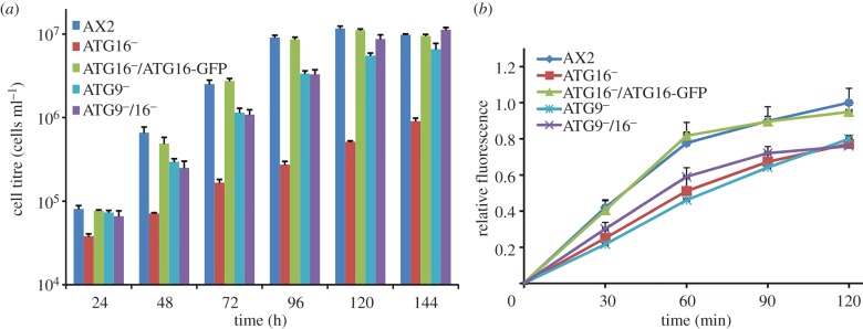 Figure 4.