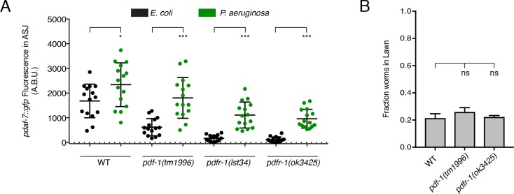 Figure 1—figure supplement 2.