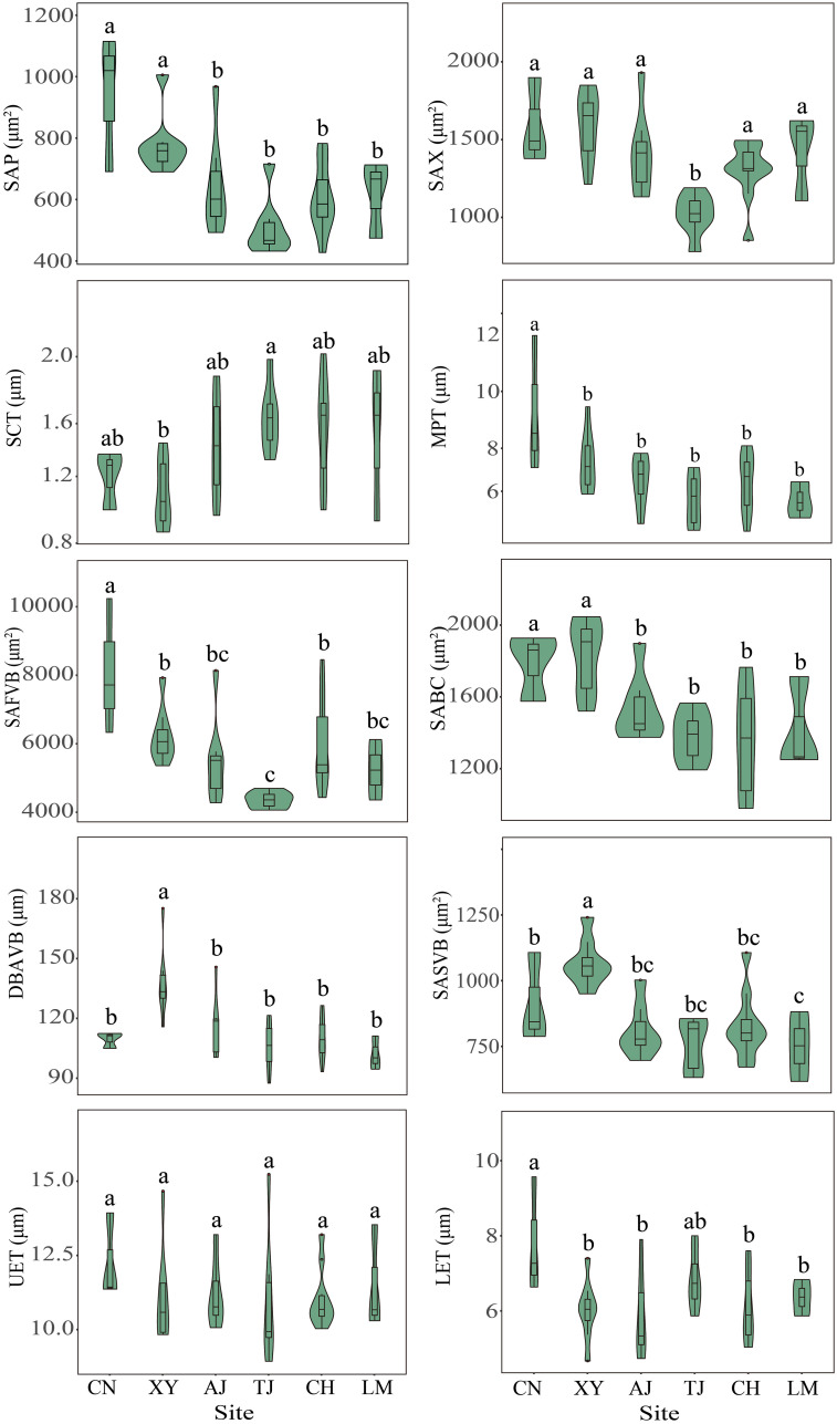 Figure 4