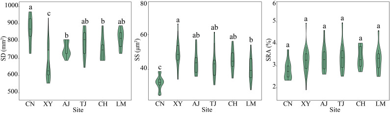 Figure 3
