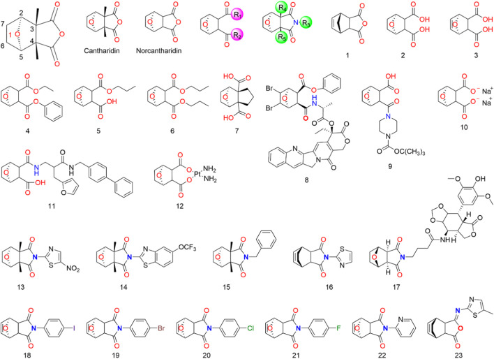 FIGURE 2