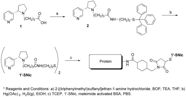 Scheme 1