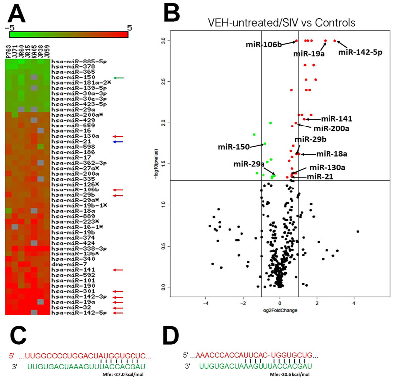 Long Term Delta-9-tetrahydrocannabinol Administration Inhibits ...