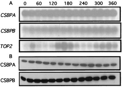 FIG. 6