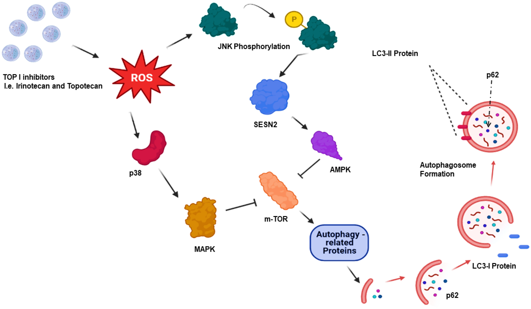 Figure 2: