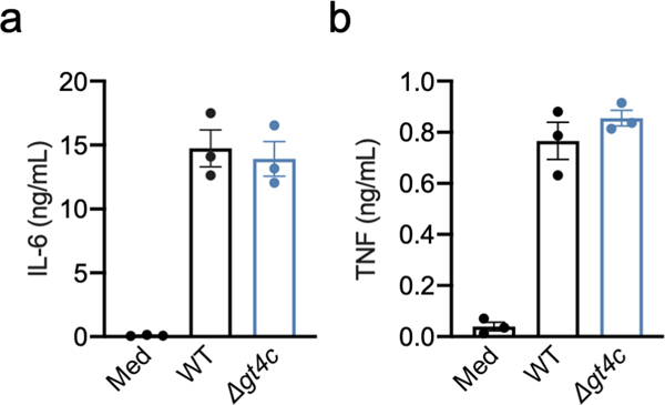 Extended Data Fig. 2.