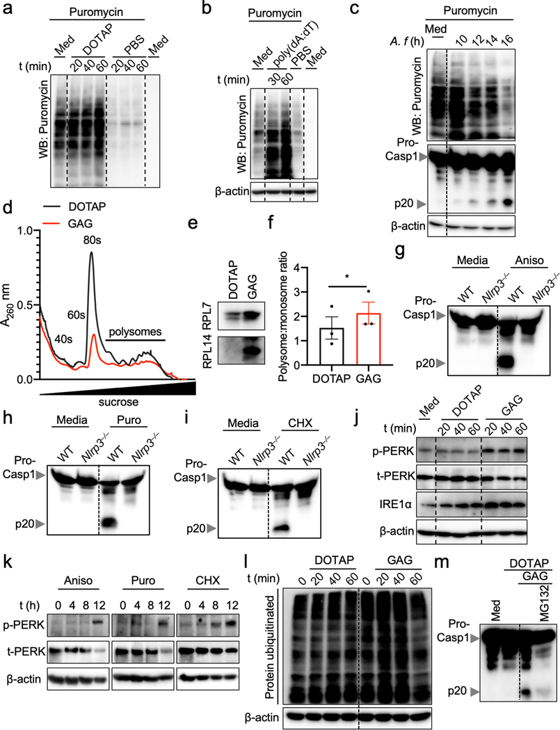 Extended Data Fig. 6.