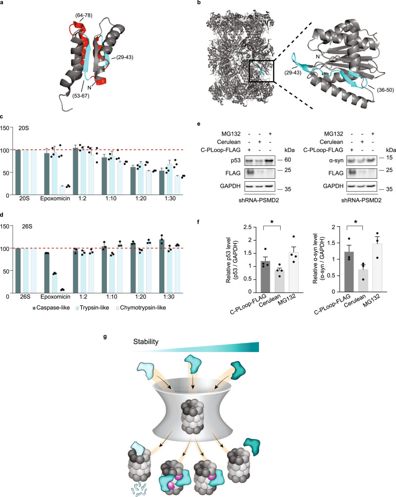 Fig. 10