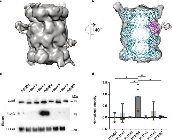 Fig. 7