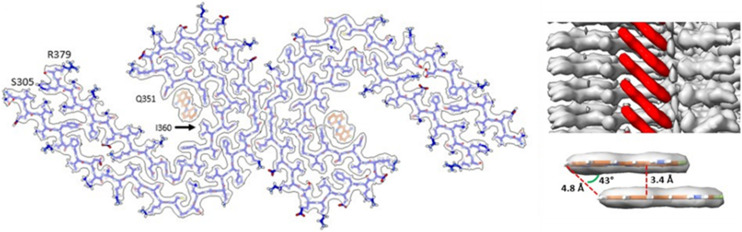 Fig. 37