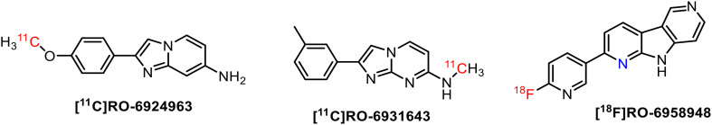 Fig. 20