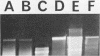 506