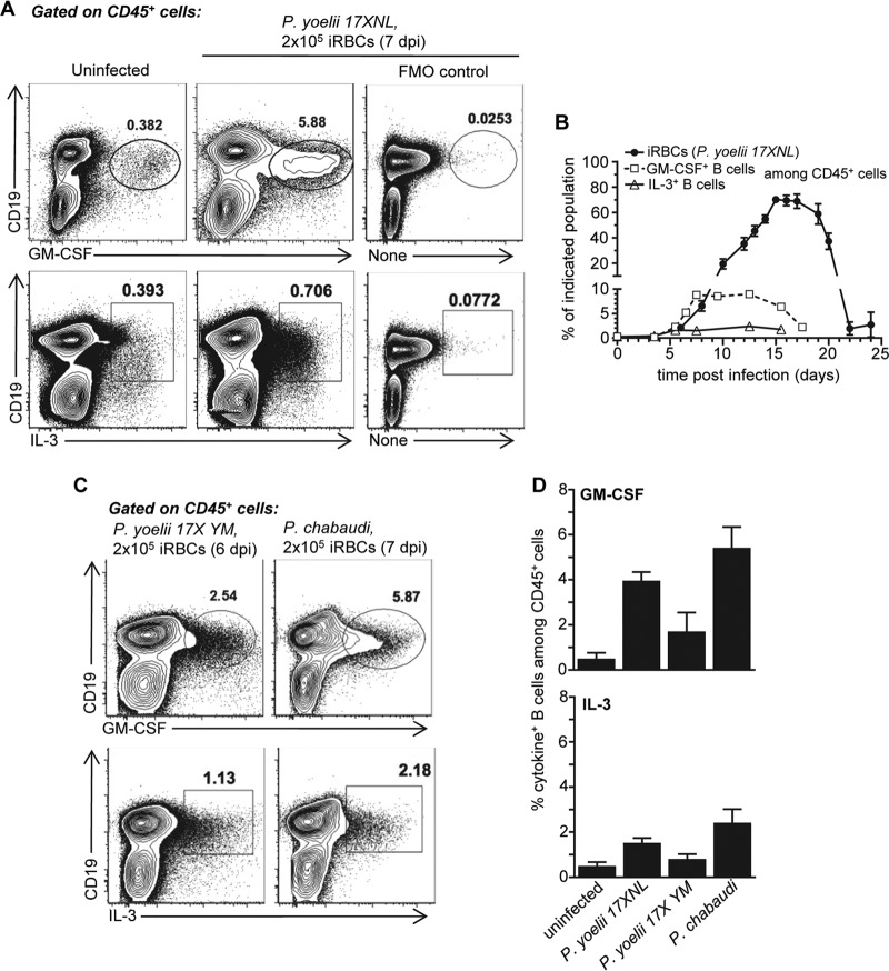 FIG 1