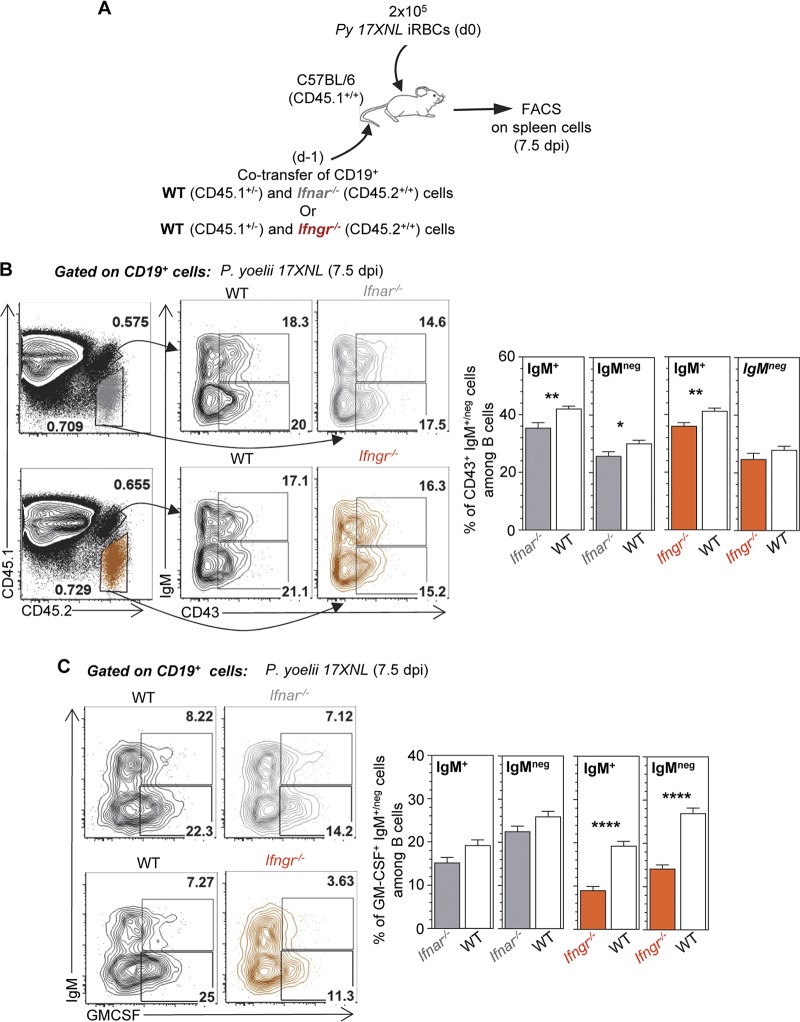 FIG 6