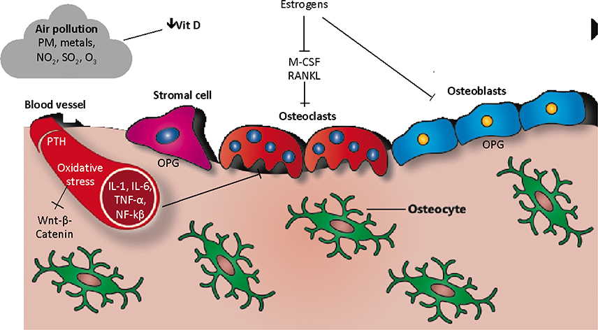 Figure 2.