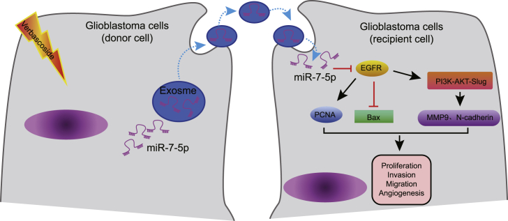 Figure 7