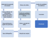 Figura 1