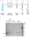 Fig 3.