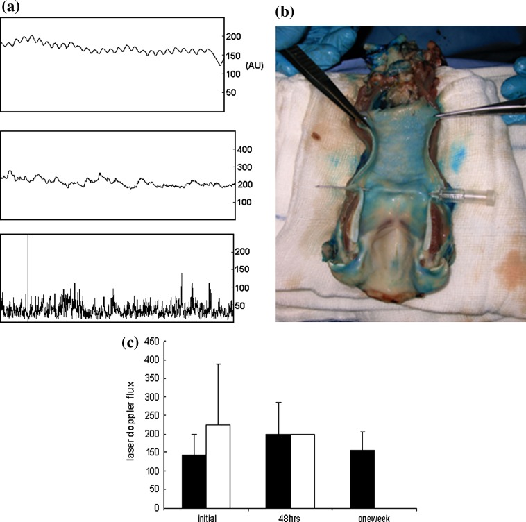 Fig. 3