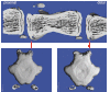 Fig 8