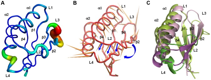 Figure 2