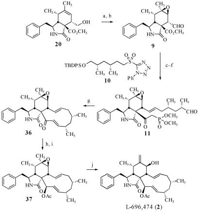 Scheme 6.