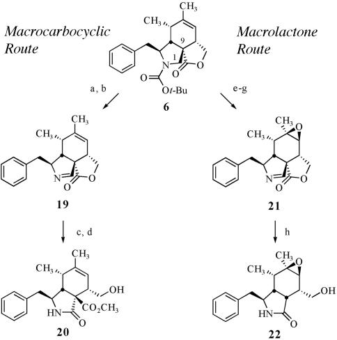 Scheme 2.