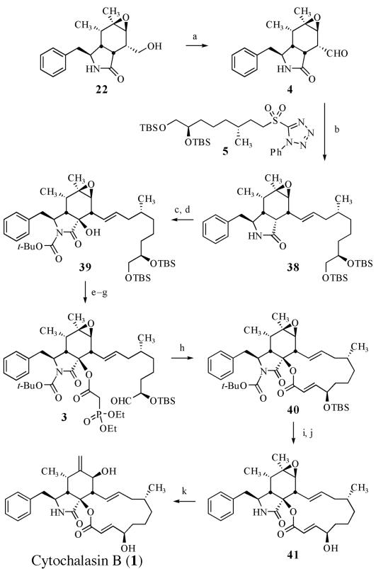 Scheme 7.