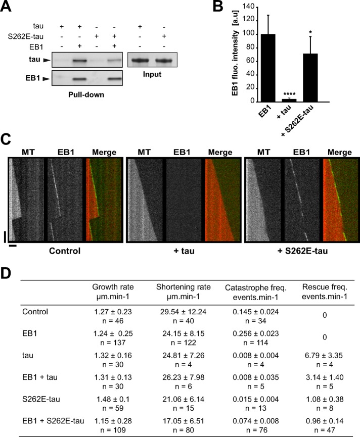 FIGURE 5: