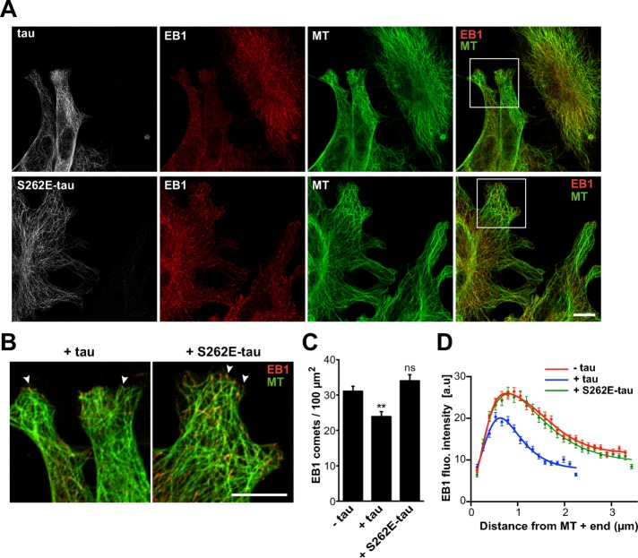 FIGURE 6: