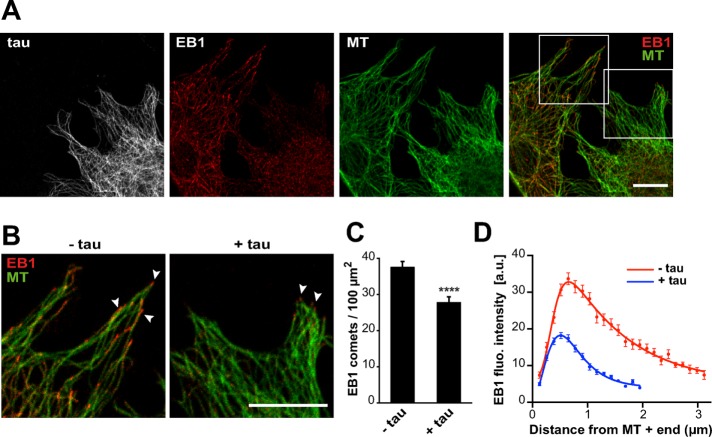 FIGURE 2: