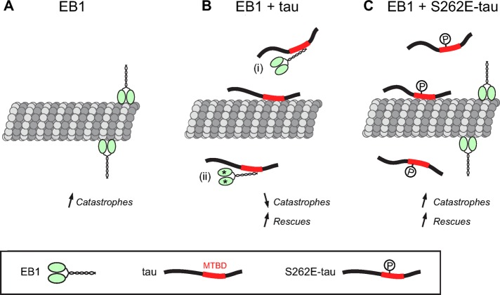 FIGURE 7: