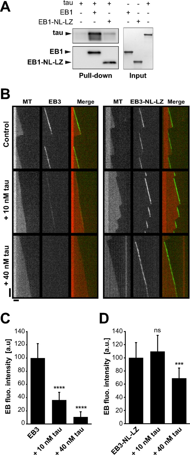 FIGURE 3: