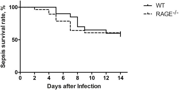 Fig 7