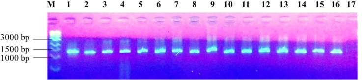 FIGURE 2