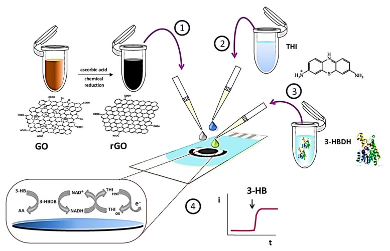 Electrochemical Biosensors A Solution To Pollution Detection With Reference To Environmental