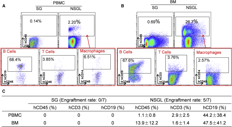 Figure 3