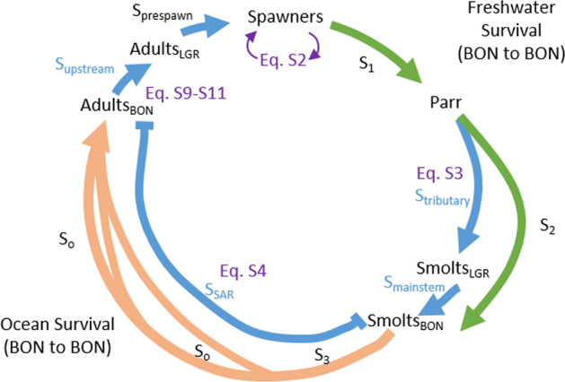 Fig. 8