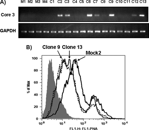 FIGURE 9.