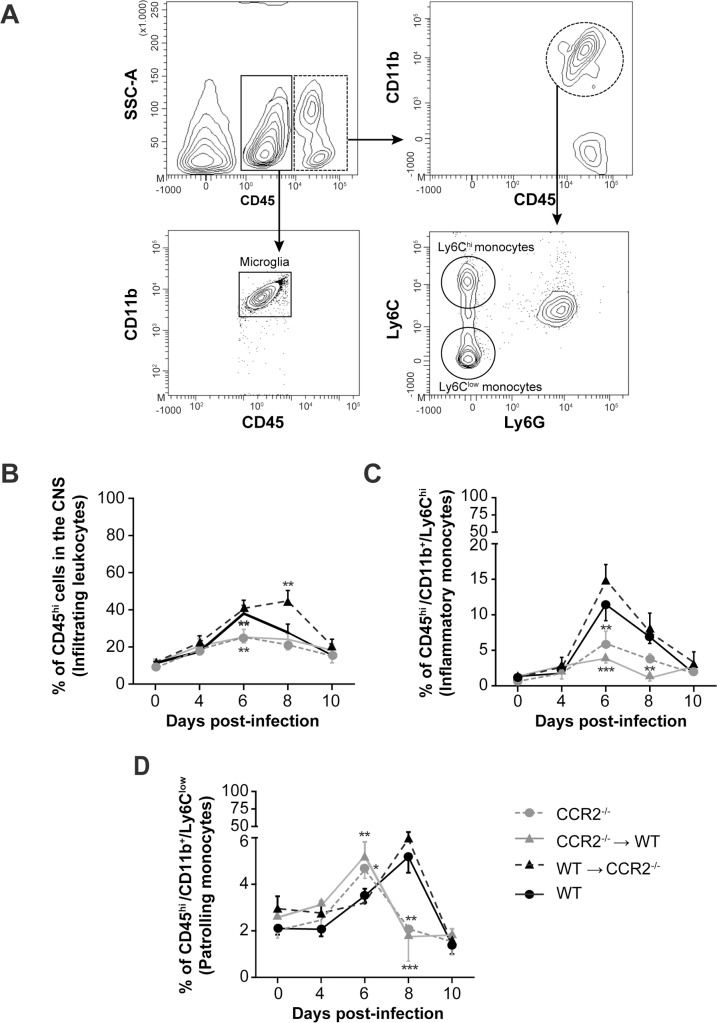 Fig 6