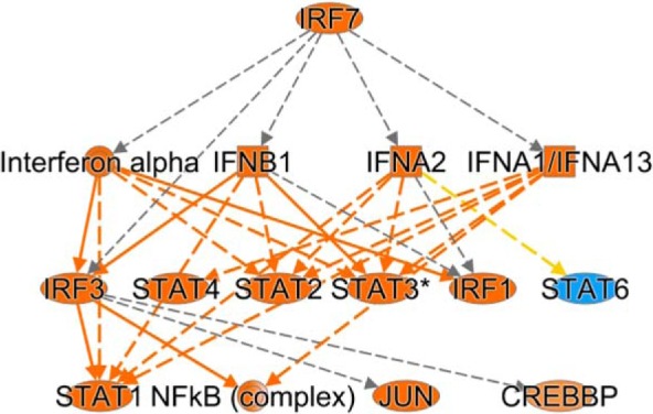 Fig. 11.