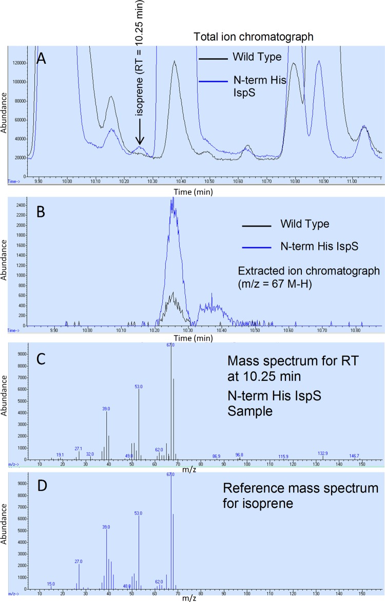 FIG 5