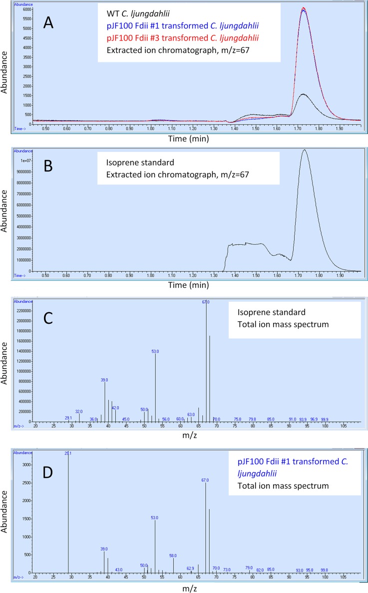 FIG 3